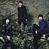 Klaxons