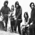 Steppenwolf
