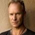 Sting