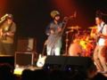 Polskie reggae docenione na Wyspach Brytyjskich
