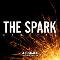Afrojack feat. Spree Wilson