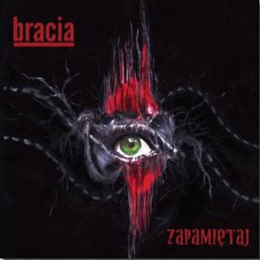 Bracia - Za szkłem