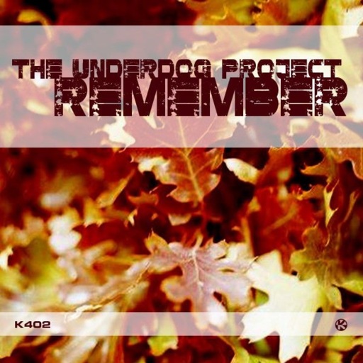 Underdog Project - REMEMBER