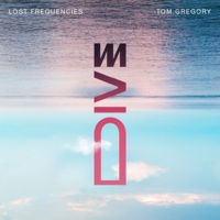 Lost Frequencies, Tom Gregory