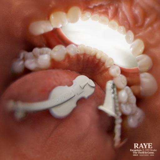 RAYE / 070 Shake - Escapism