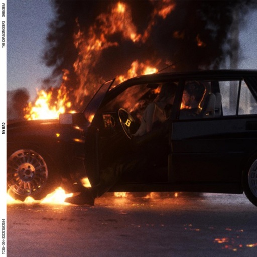 The Chainsmokers / Shenseea - My Bad