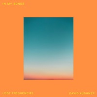 Lost Frequencies feat. David Kushner