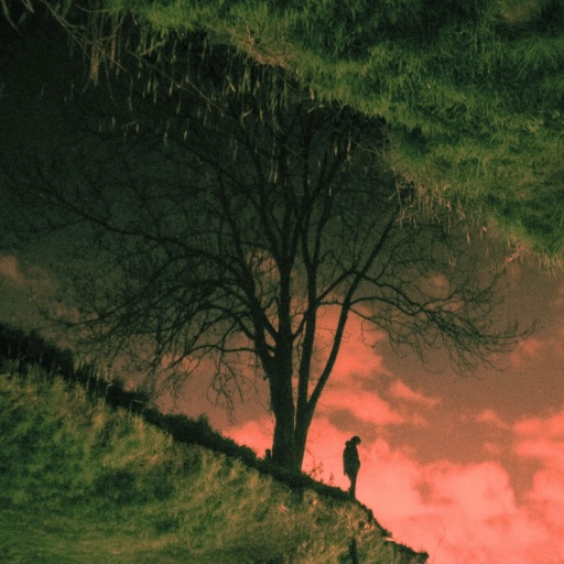 Przebiśniegi - Pod czerwonym niebem