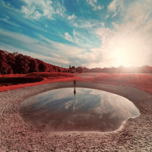 Przebiśniegi - Brzeg