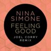 Nina Simone / Joel Corry Feeling Good (DJ ADHD Extended)