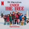 Ed Sheeran - Under the Tree