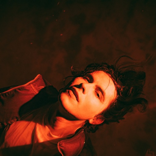 Jan Wieteska - Kupiłem dom