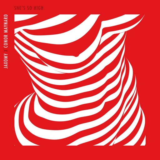 Jaxomy / Conor Maynard - She's So High
