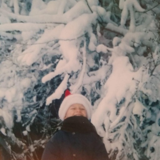 Piotr Odoszewski - Zimny dzień