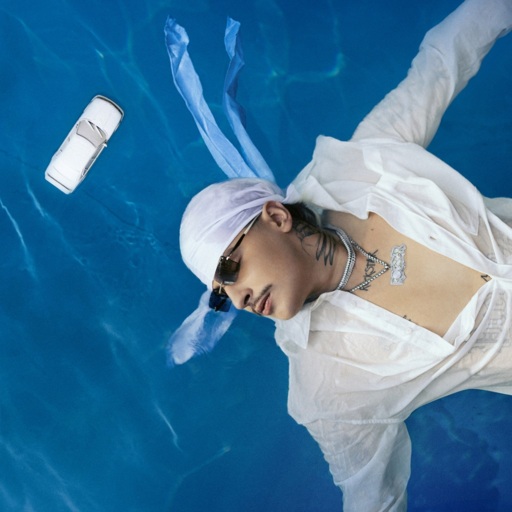 White 2115 - Spadająca gwiazda