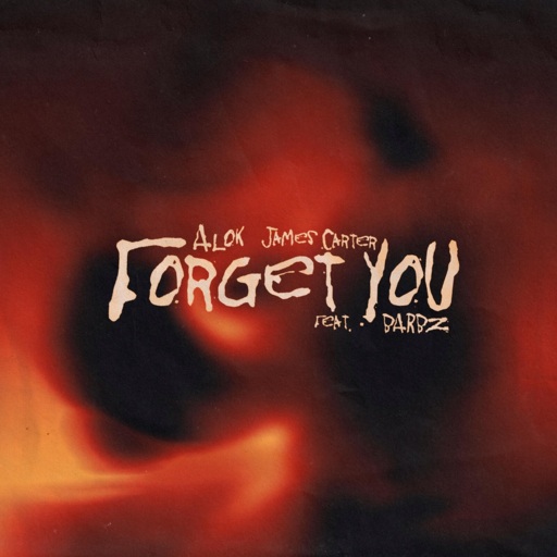Alok / James Carter / Barbz - Forget You