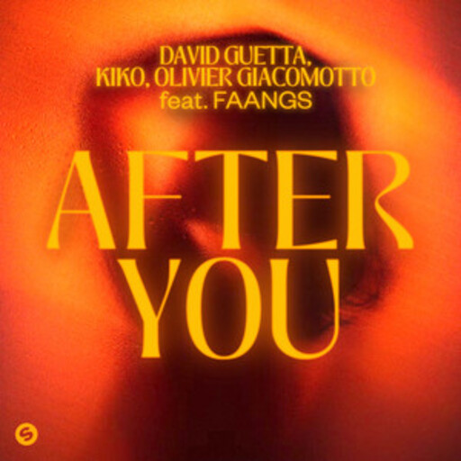 David Guetta / Olivier Giacomotto  / Kiko / FAANGS - After You