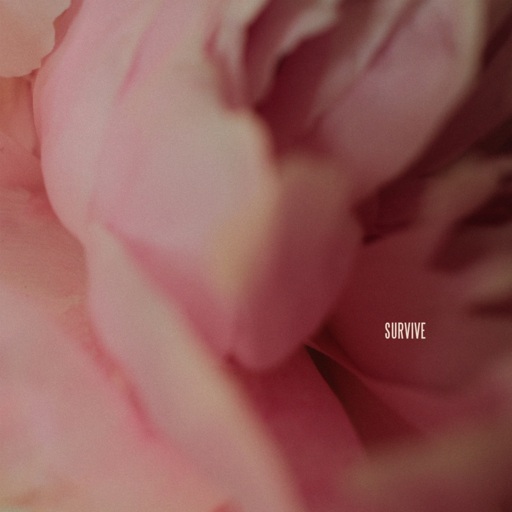 Lewis Capaldi - The Day That I Die