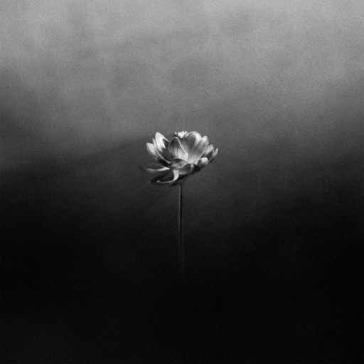 Little Simz - Lonely