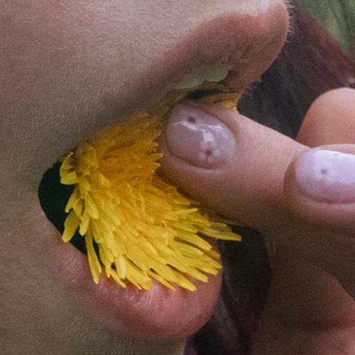 Mlecze - Minie jesień