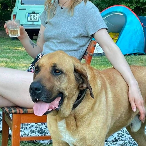 Mlecze - To były mlecze