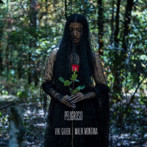 Viki Gabor / Malik Montana - Peligroso