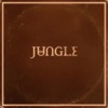 Jungle - Carry On