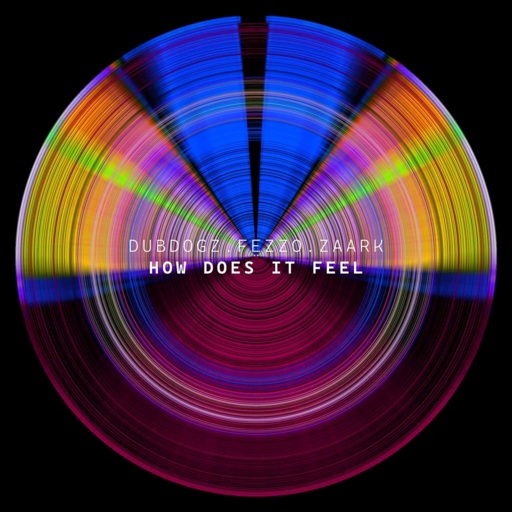 DubDogz / FEZZO / Zaark - How Does It Feel