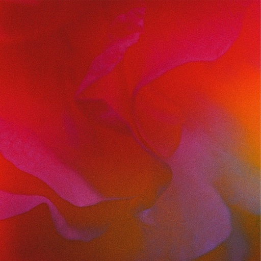 Nate Band - Miss Your Body