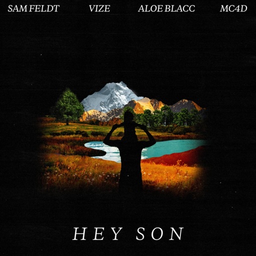 Sam Feldt / MC4D / VIZE / Aloe Blacc - Hey Son
