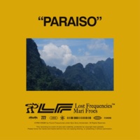 Lost Frequencies, Mari Froes