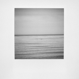 Artur Rojek - Mirafiori