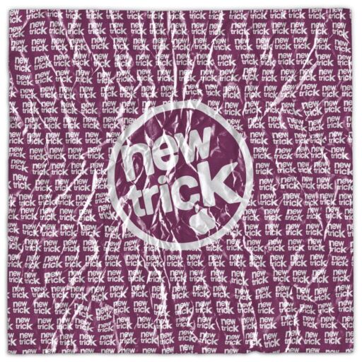 ROSÉ - new trick