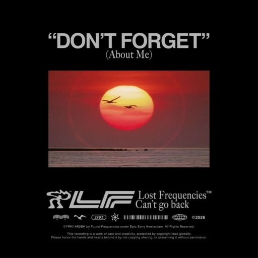 Lost Frequencies - Dont Forget (About Me)