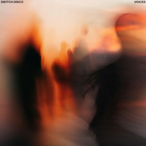 Switch Disco - VOICES