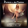 Florence & the Machine - Spectrum (Calvin Harris Remix)