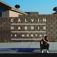 Calvin Harris feat. Ellie Goulding