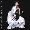 Tomoyasu Hotei - Battle without Honor