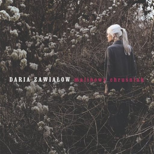 Daria Zawiałow - Malinowy chruśniak