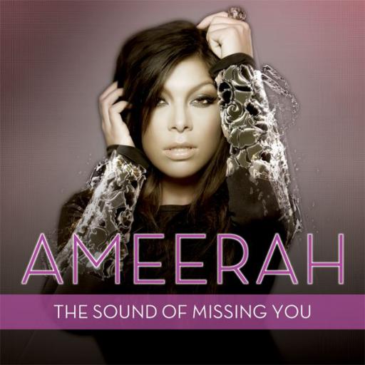 Wildboyz / Ameerah - The Sound Of Missing You