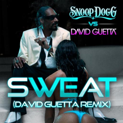 Snoop Dogg - Sweat