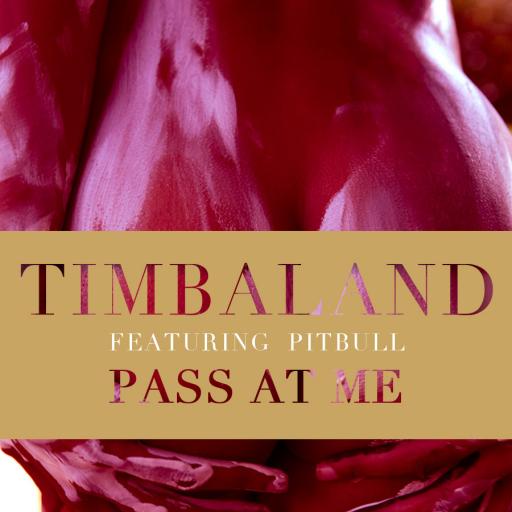 Timbaland - Pass at me