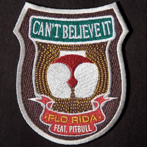 Flo Rida / Pitbull - Can't Believe It