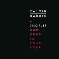 Calvin Harris feat. Disciples