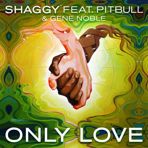 Shaggy / Pitbull - Only Love