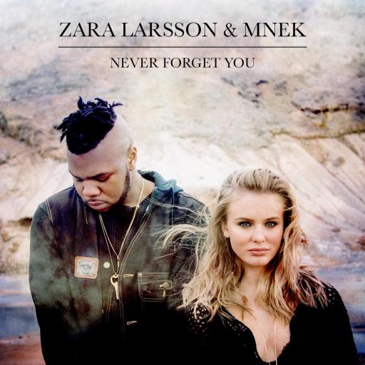 MNEK / Zara Larsson - Never Forget You