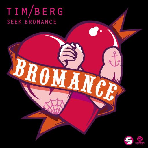 Tim Berg - Bromance (Avicii's Radio Edit)