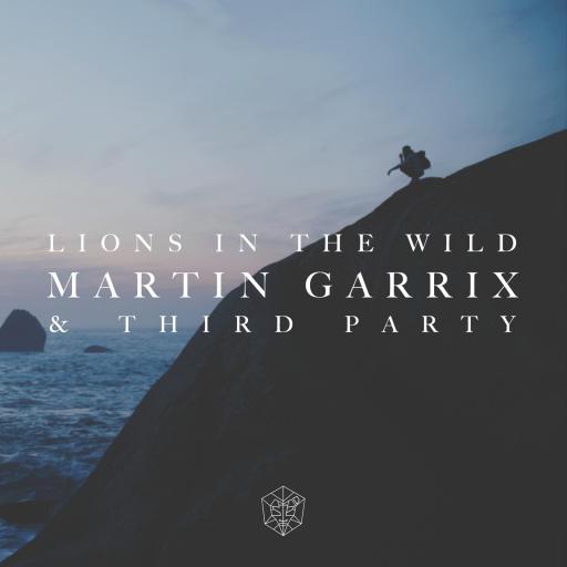 Martin Garrix / Third Party - Lions In The Wild