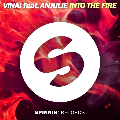 VINAI / Anjulie - Into The Fire