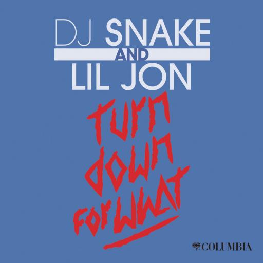 DJ Snake / Lil Jon - Turn Down For What